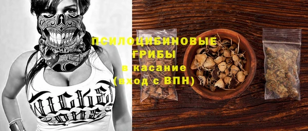 тгк Майский