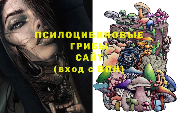 тгк Майский
